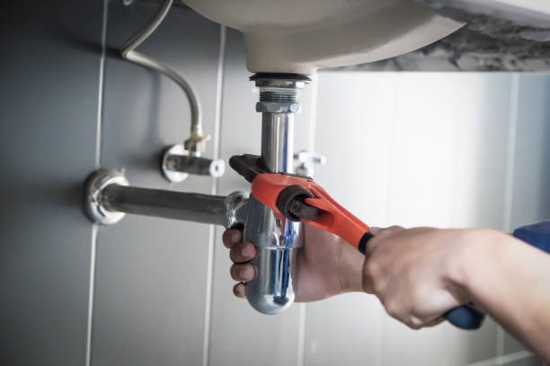 Best Commercial Plumbing Services  in Purdy, MO